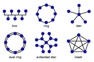 انواع توپولوژی شبکه چیست؟